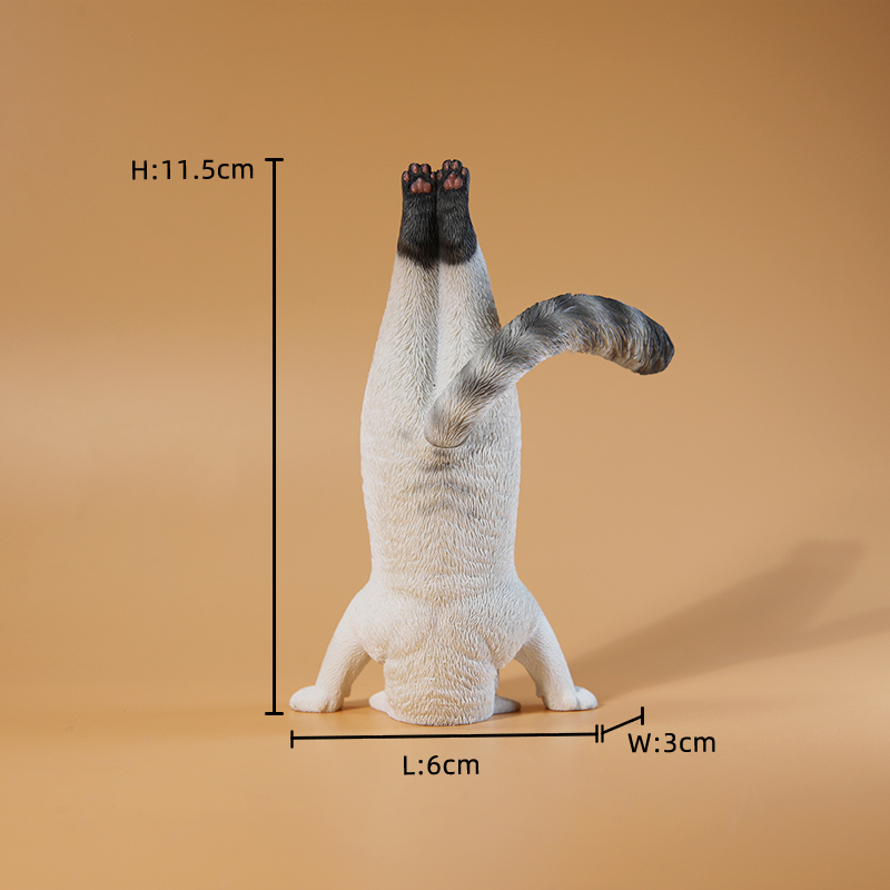 Mini-Simulations-Fitness-Katze – Yoga Fitness First Bewertung und Preis